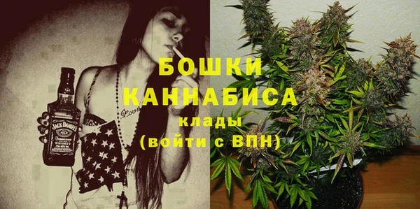 эйфоретик Белокуриха