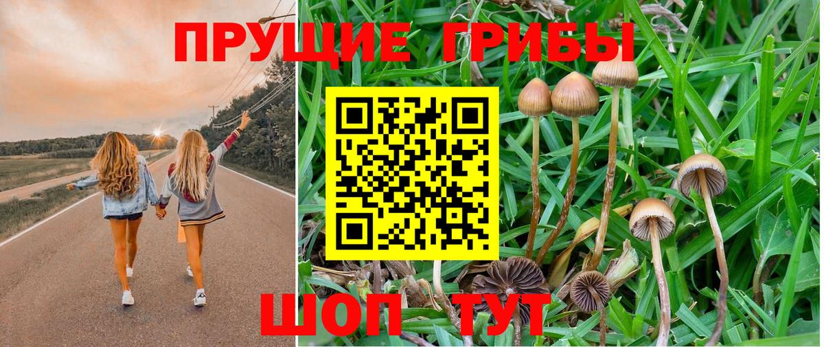 Галлюциногенные грибы мухоморы Мурманск